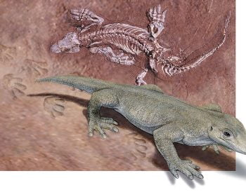 Seven Reasons Why We Should Not Accept Millions of Years