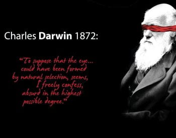 The Lie Of Evolution