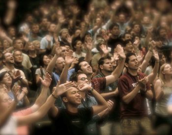 Feeding Sheep or Amusing Goats?
