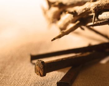 How To Keep Holiness