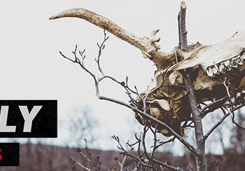 The Five Tests of False Doctrine