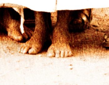 Christelike Fundamentalisme