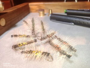 Caterpillar