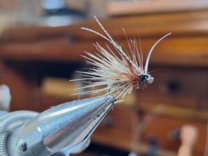 Caddis Alder