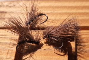 Dirty Bug Caddis