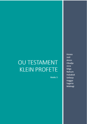 Reeks 5: Klein Profete