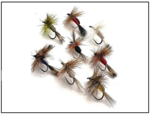 Dry Fly